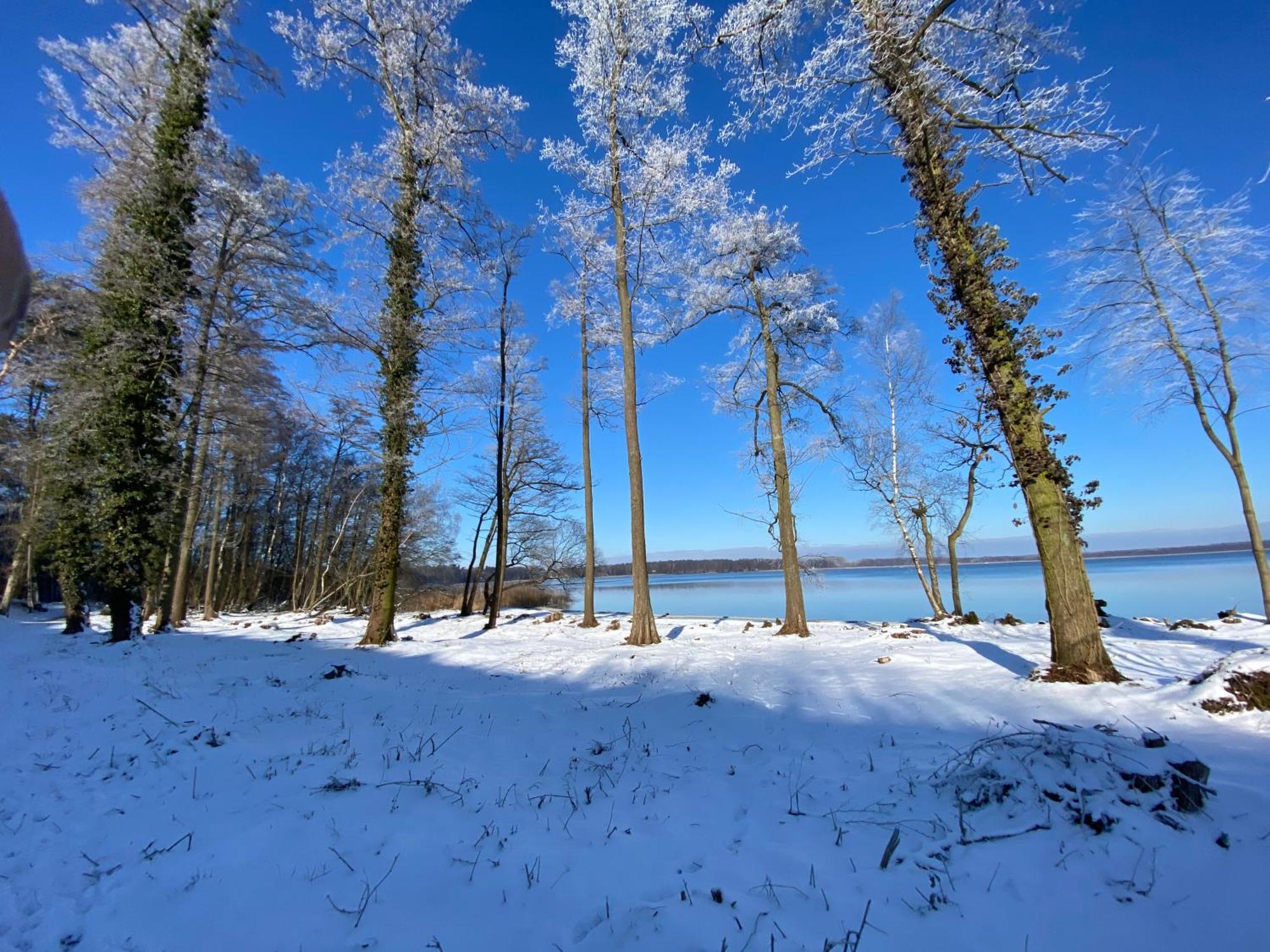 Wolfshotel Am Arendsee アーレンゼー エクステリア 写真